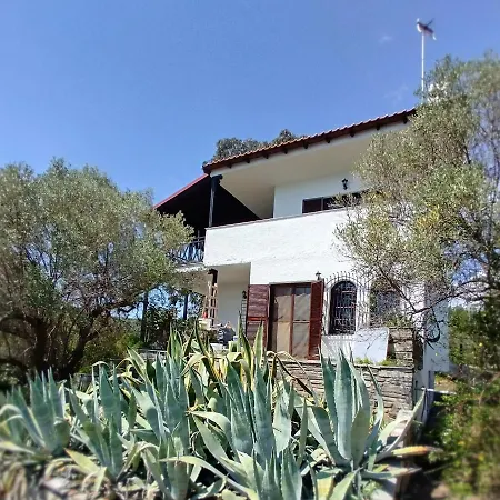 Mike's Seaside House * Akti Salonikiou